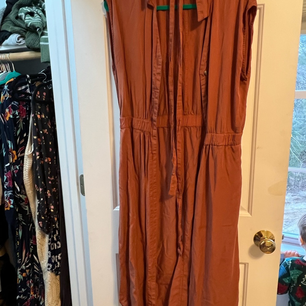 Elegant Brown Women's Dress